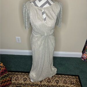 Silver Adrianna Papell Maxi Dress